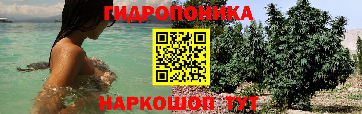 Конопля тримм Пятигорск